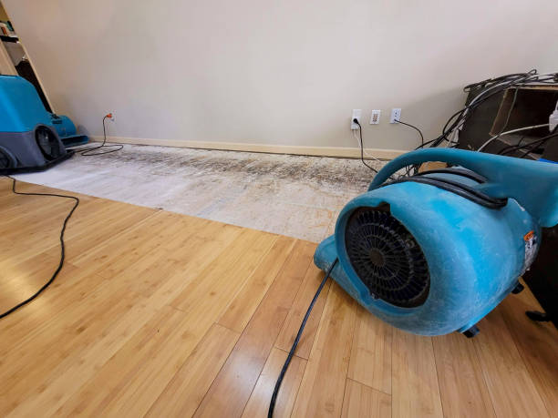 Professional Water Damage Repair technician working in Dibble, OK